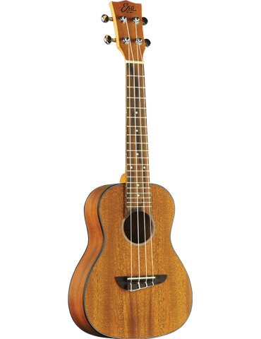 UKELELE DUO CONCERTO