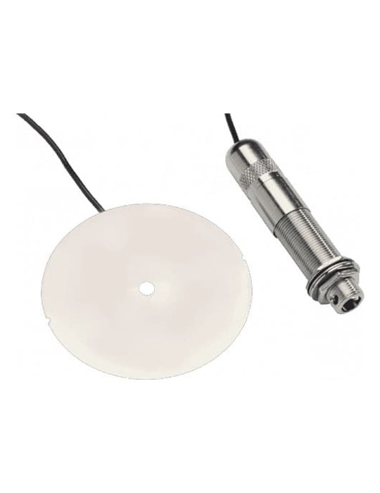 PASTILLA ACÚSTICA NASHVILLE BISCUIT STYLE