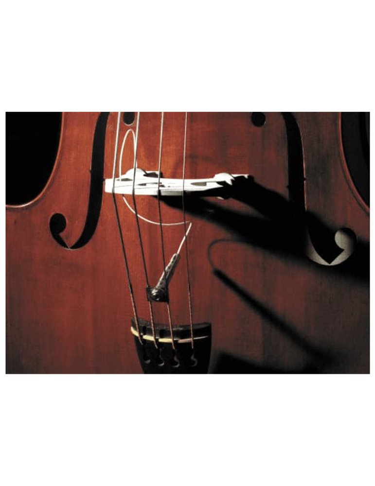 PASTILLA DUAL PIEZO /CERAMIC (Full Circle) PARA CONTRABAJO 1/4 20