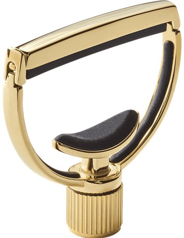 CEJILLA ADAPTABLE ESTILO 1 STANDART - DORADA