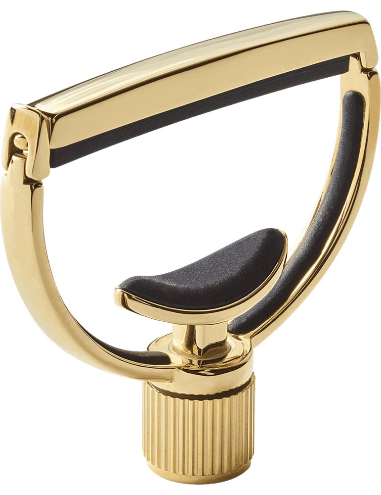 CEJILLA ADAPTABLE ESTILO 1 ANCHO - DORADA