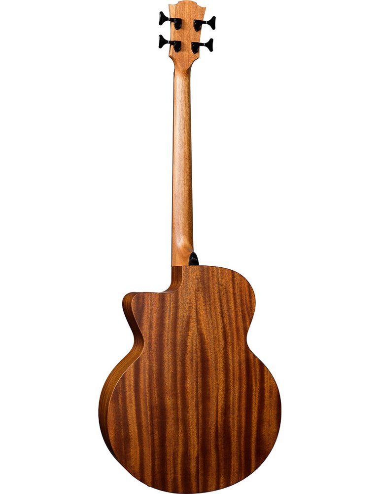 BAJO ACÚSTICO LAG JUMBO HYVIBE H2 10 A/E CUTAWAY