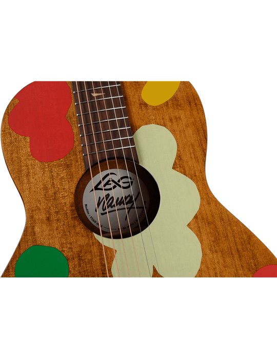 GUITARRA ACÚSTICA PARLOR ELECTRO - SIGNATURE VIANNEY
