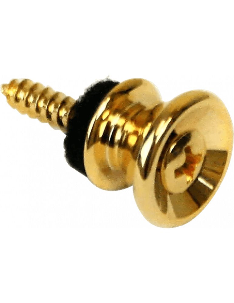 CIERRE PARA CORREA MARTIN - DORADO