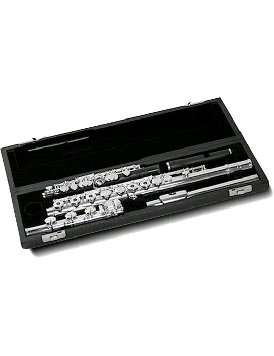 ESTUCHE DOBLE PARA FLAUTA + FLAUTÍN PICCOLO