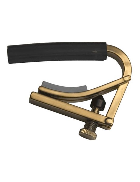 CEJILLA ORIGINAL ACÚSTICA / ELÉCTRICA NEGRA 12 CUERDAS