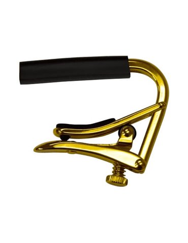 CEJILLA ACÚSTICA / ELÉCTRICA GOLD