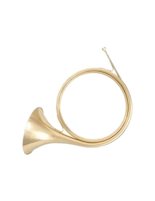 TROMPA NATURAL MIB  FFH83