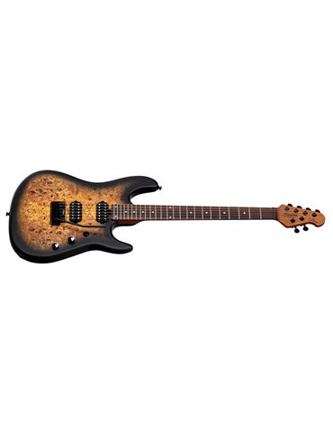 GUITARRA ELÉCTRICA JASON RICHARDSON - Poplar Burl Burst