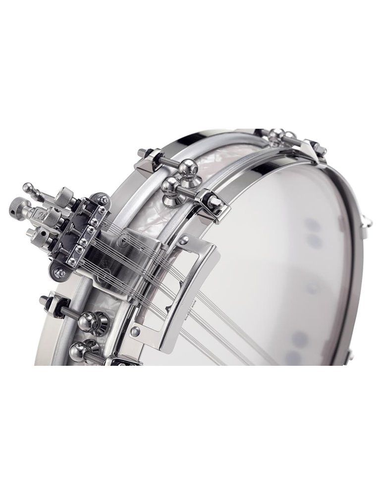 CAJA 13 x 2.5" PHILHARMONIC ARCE (8-ply, 10mm Solid) PANCAKE