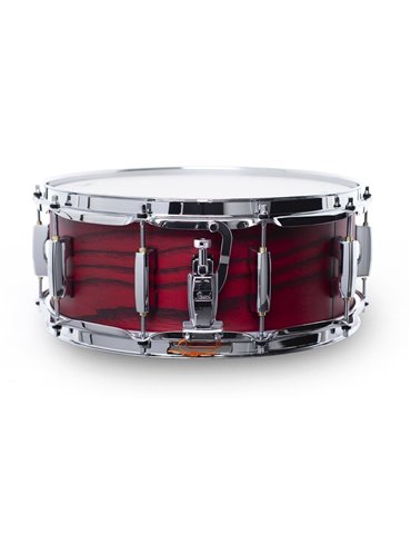 CAJA 14"x 5.5" STS SESSION STUDIO - Scarlet Ash 2