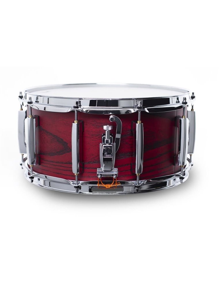 CAJA 14"x 6.5" STS SESSION STUDIO - Scarlet Ash