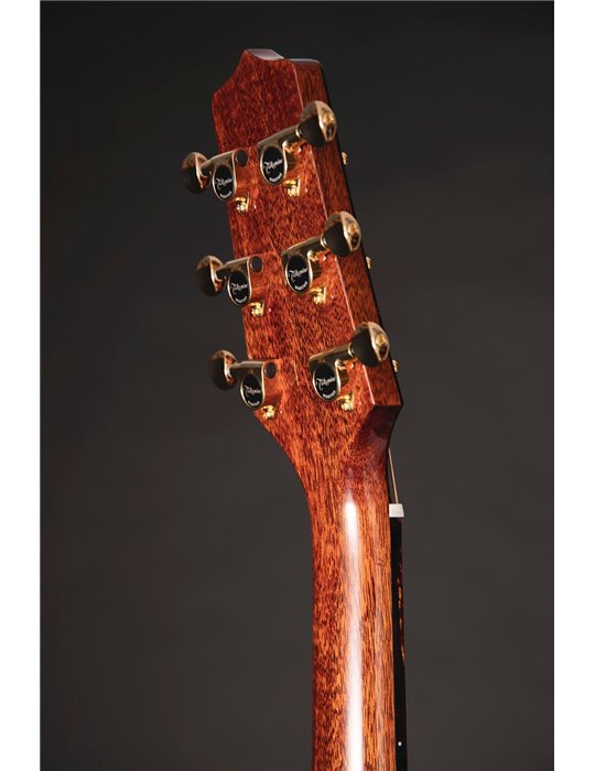 GUITARRA TAKAMINE LTD 2025 - ANTIQUE EVER GREEN